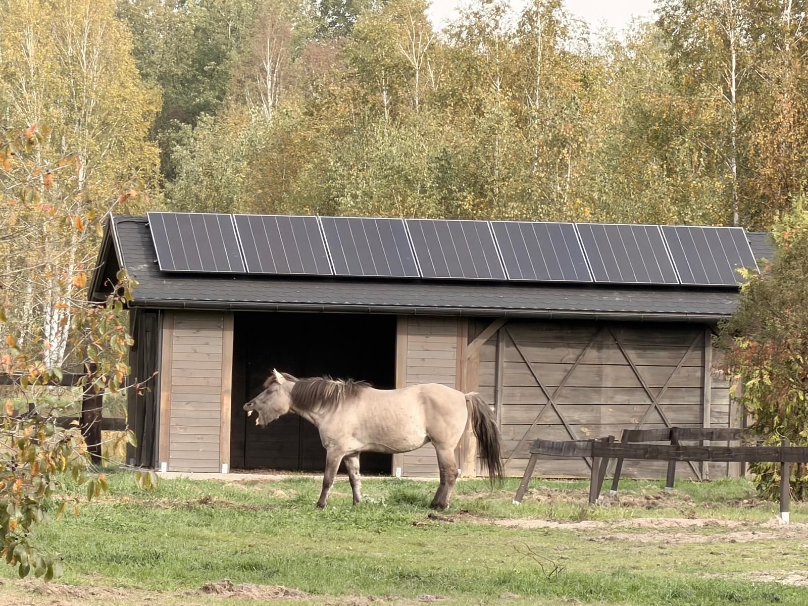 Nowoczesny dom jednorodzinny z panelami fotowoltaicznymi na dachu, oświetlony ciepłym światłem zachodzącego słońca, symbolizuje wykorzystanie odnawialnych źródeł energii oraz niezależność energetyczną. W tle widać spokojny krajobraz, który podkreśla harmonię nowoczesnej instalacji fotowoltaicznej z otoczeniem.